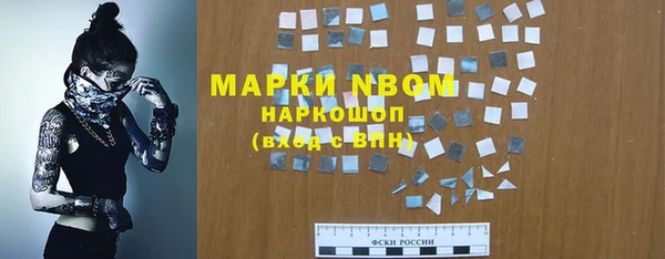 соль ск Горнозаводск