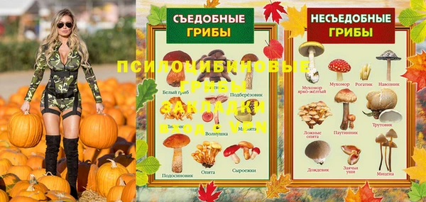 соль ск Горнозаводск
